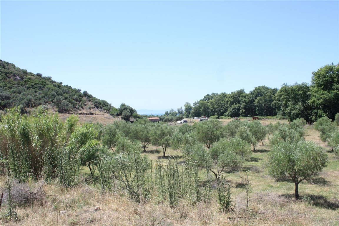 For Sale Land 8000 m² in Sithonia, Chalkidiki