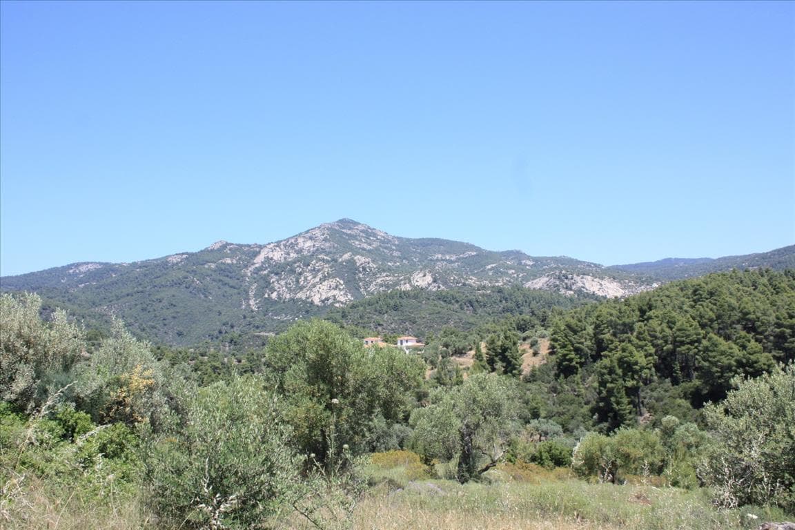 For Sale Land 4990 m² in Sithonia, Chalkidiki