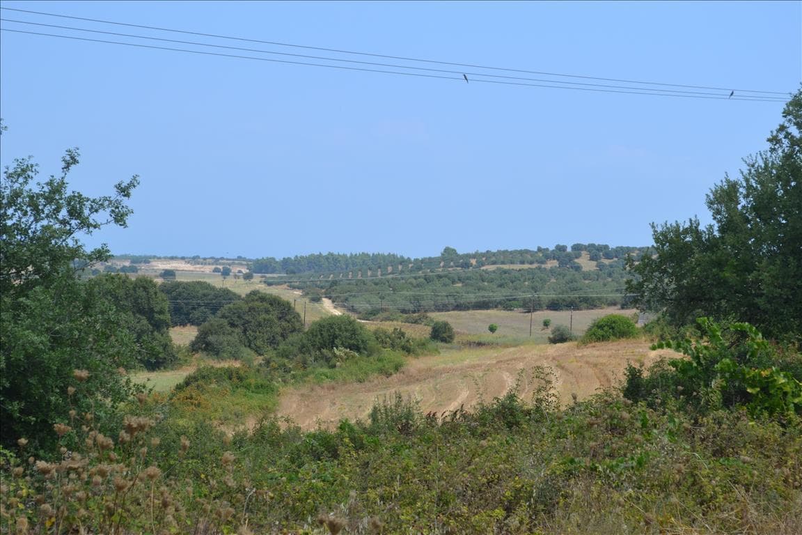 For Sale Land 10500 m² in Kassandra, Chalkidiki