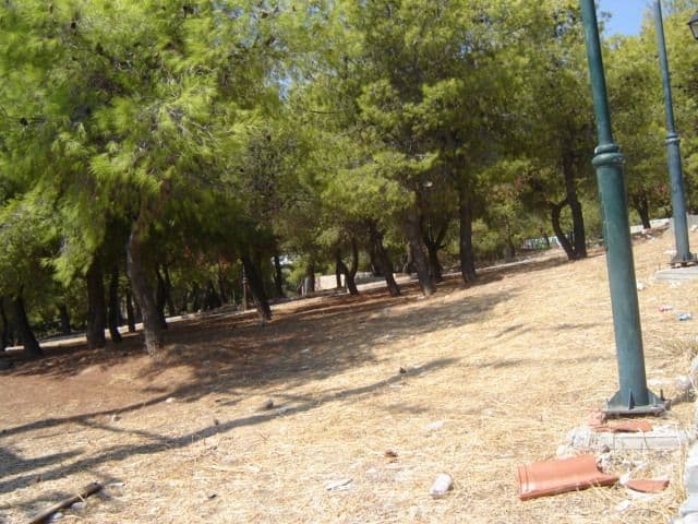 For Sale Land 202000 m² in Athens