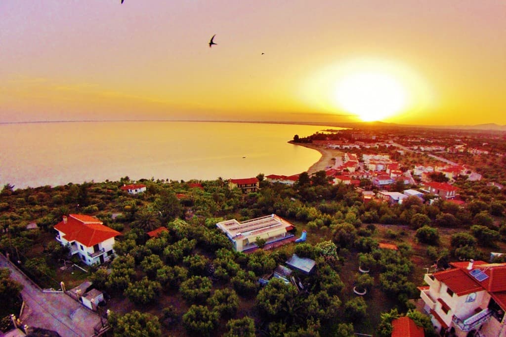 For Sale Land 8268 m² in Sithonia, Chalkidiki