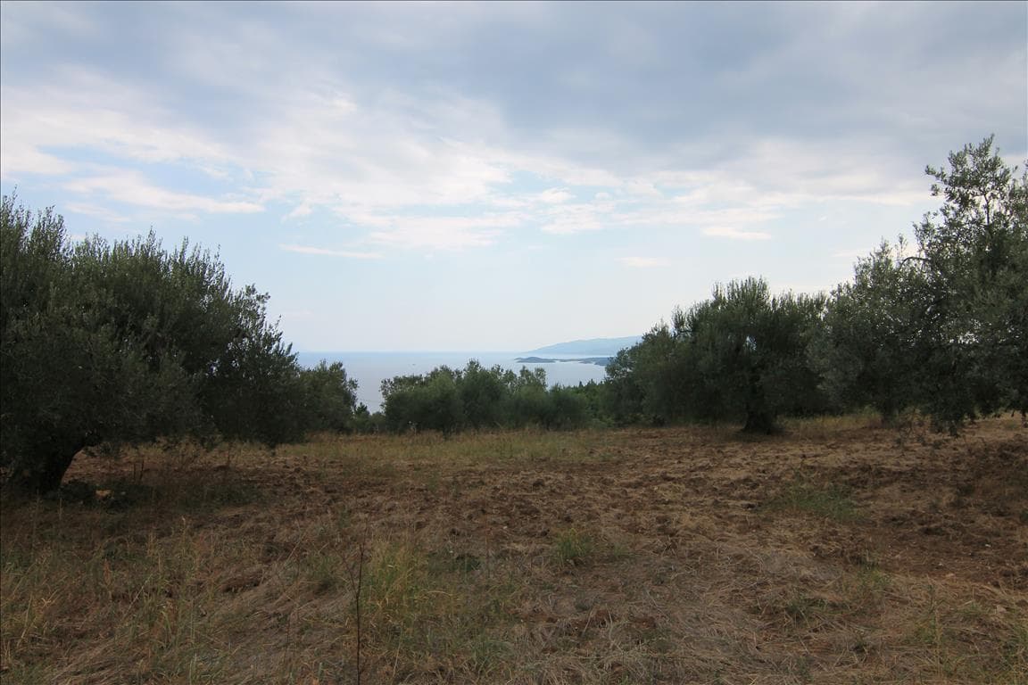 For Sale Land 4600 m² in Sithonia, Chalkidiki