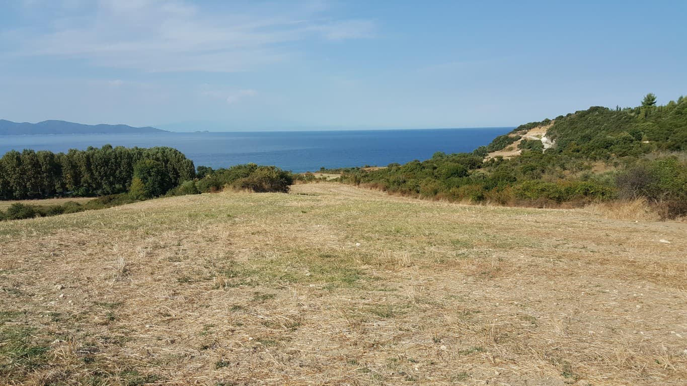 For Sale Land 7000 m² in Athos, Chalkidiki