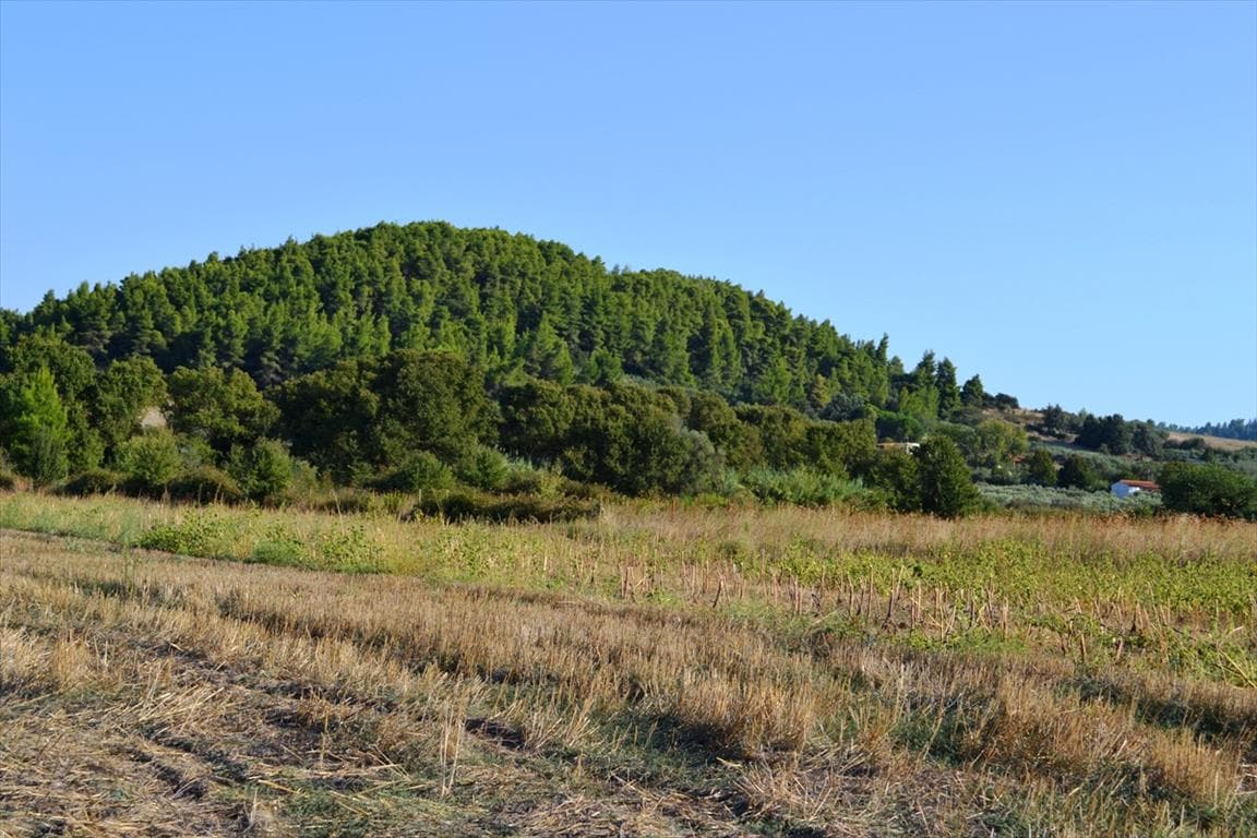 For Sale Land 4000 m² in Kassandra, Chalkidiki