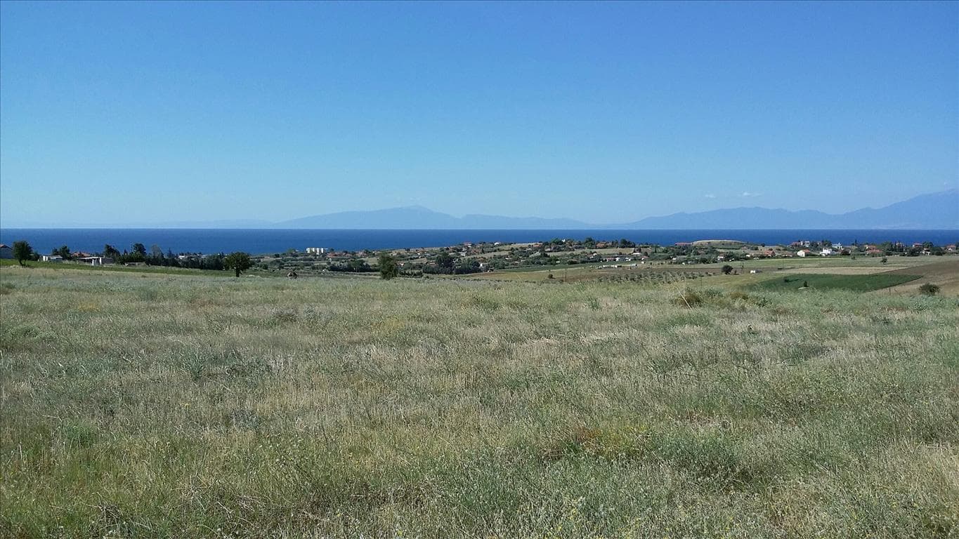 For Sale Land 10262 m² in Chalkidiki