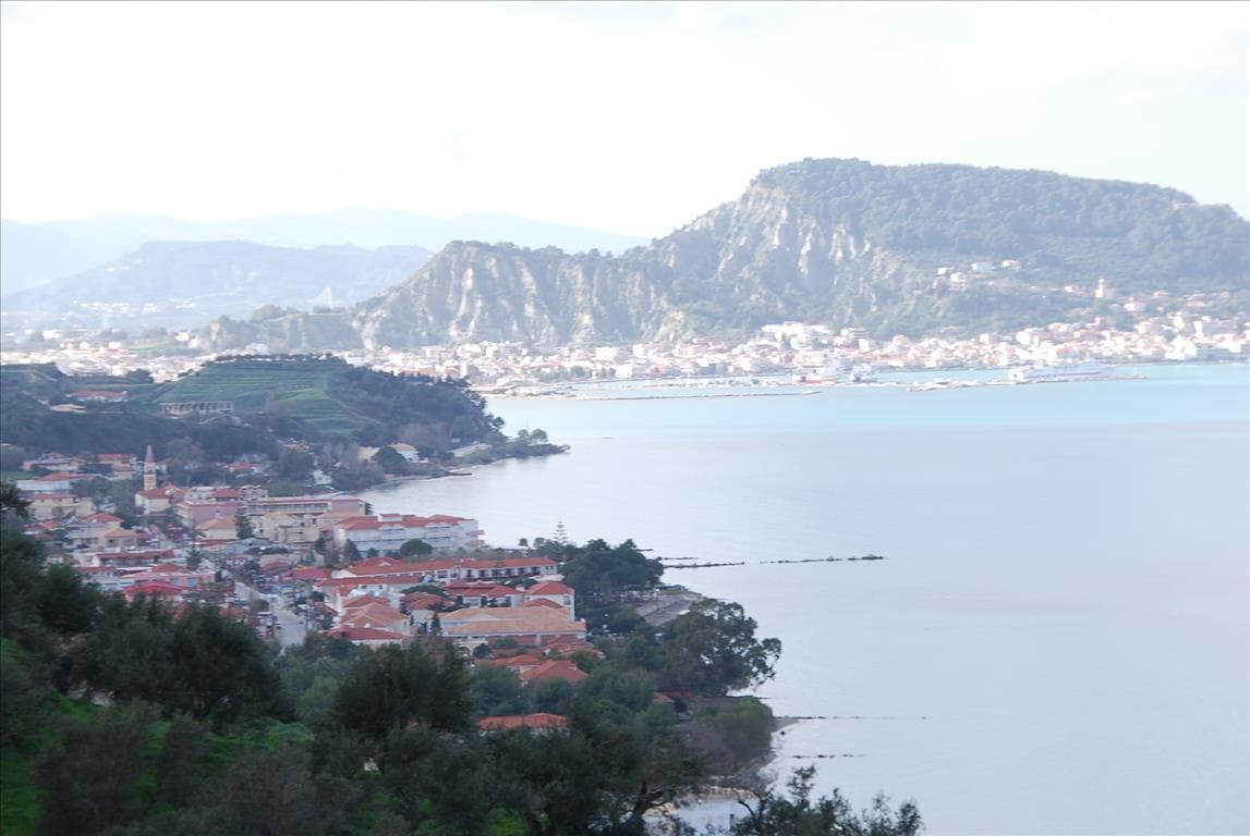 For Sale Land 13000 m² in Zante