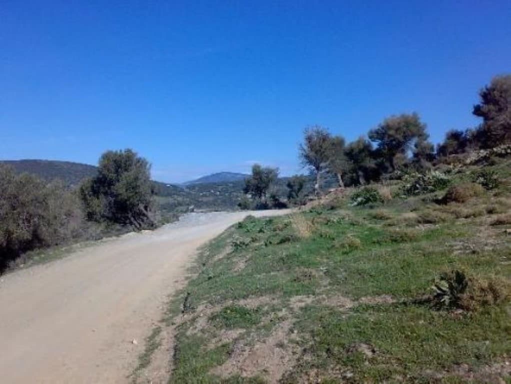 For Sale Land 116000 m² on the Euboea island