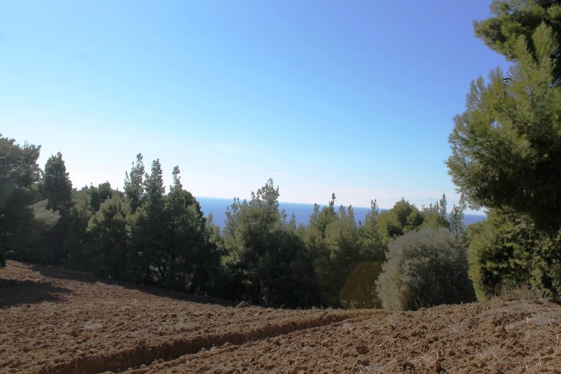 For Sale Land 9500 m² in Kassandra, Chalkidiki