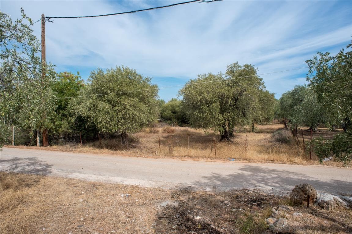 For Sale Land 776 m² on the island of Thassos