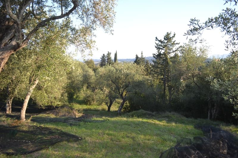For Sale Land 8253 m² in Corfu