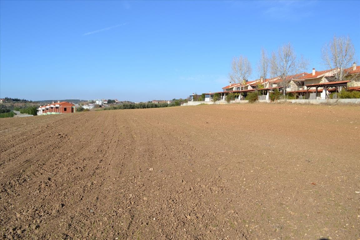 For Sale Land 5000 m² in Chalkidiki
