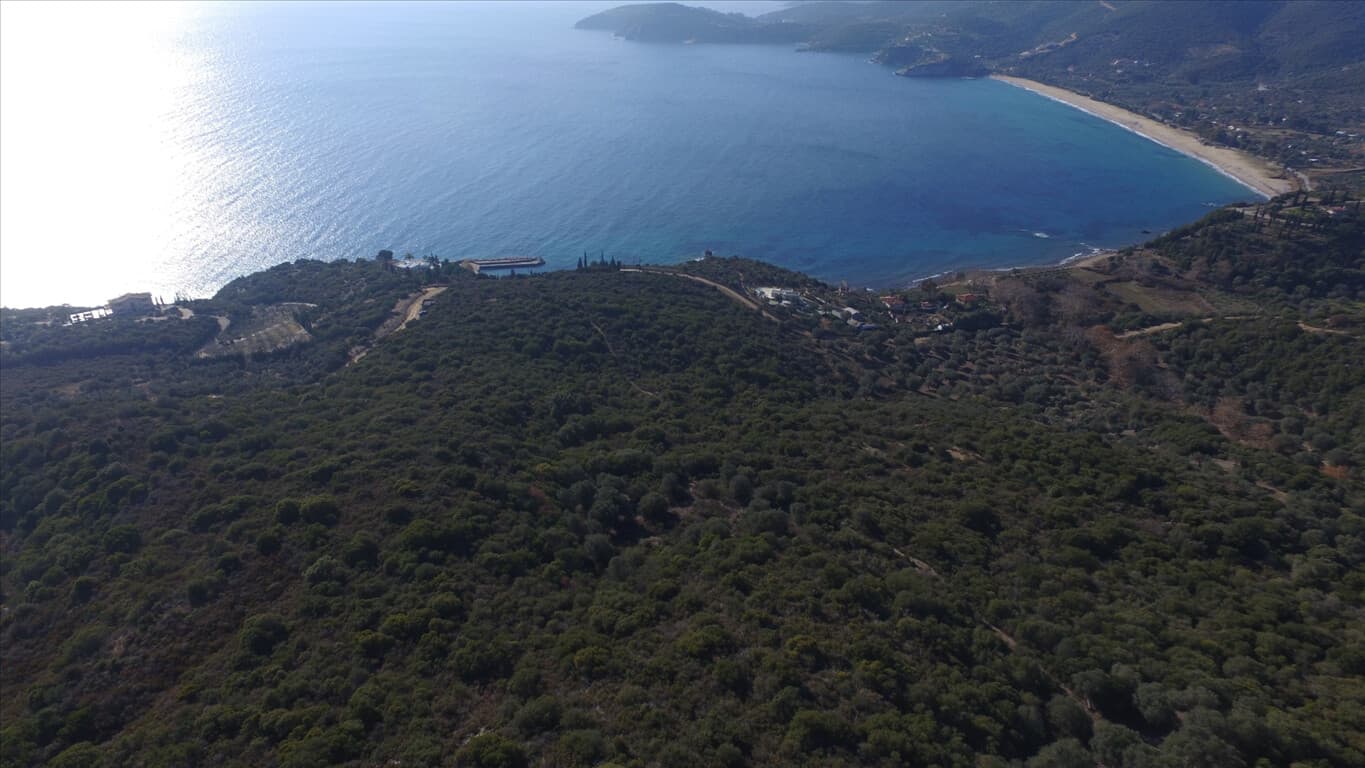 For Sale Land 12415 m² in Athos, Chalkidiki