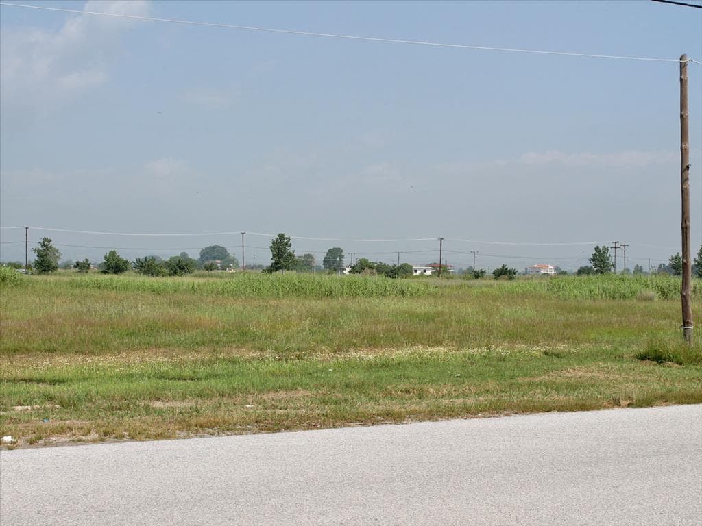 For Sale Land 8000 m² on the Olympic Coast