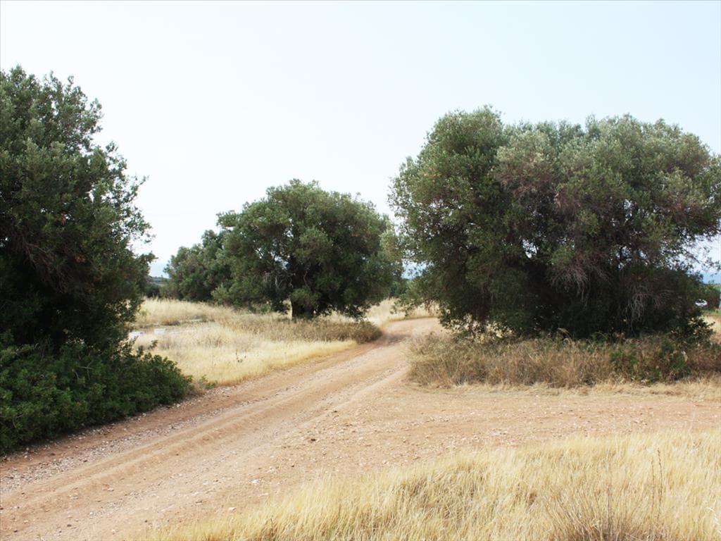 302 m² Building Plot with Permissions in Sithonia