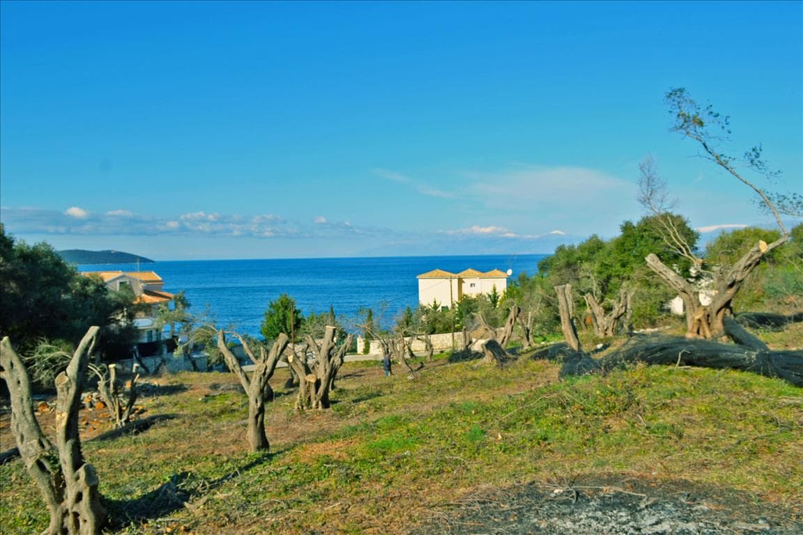 For Sale Land 4160 m² in Corfu