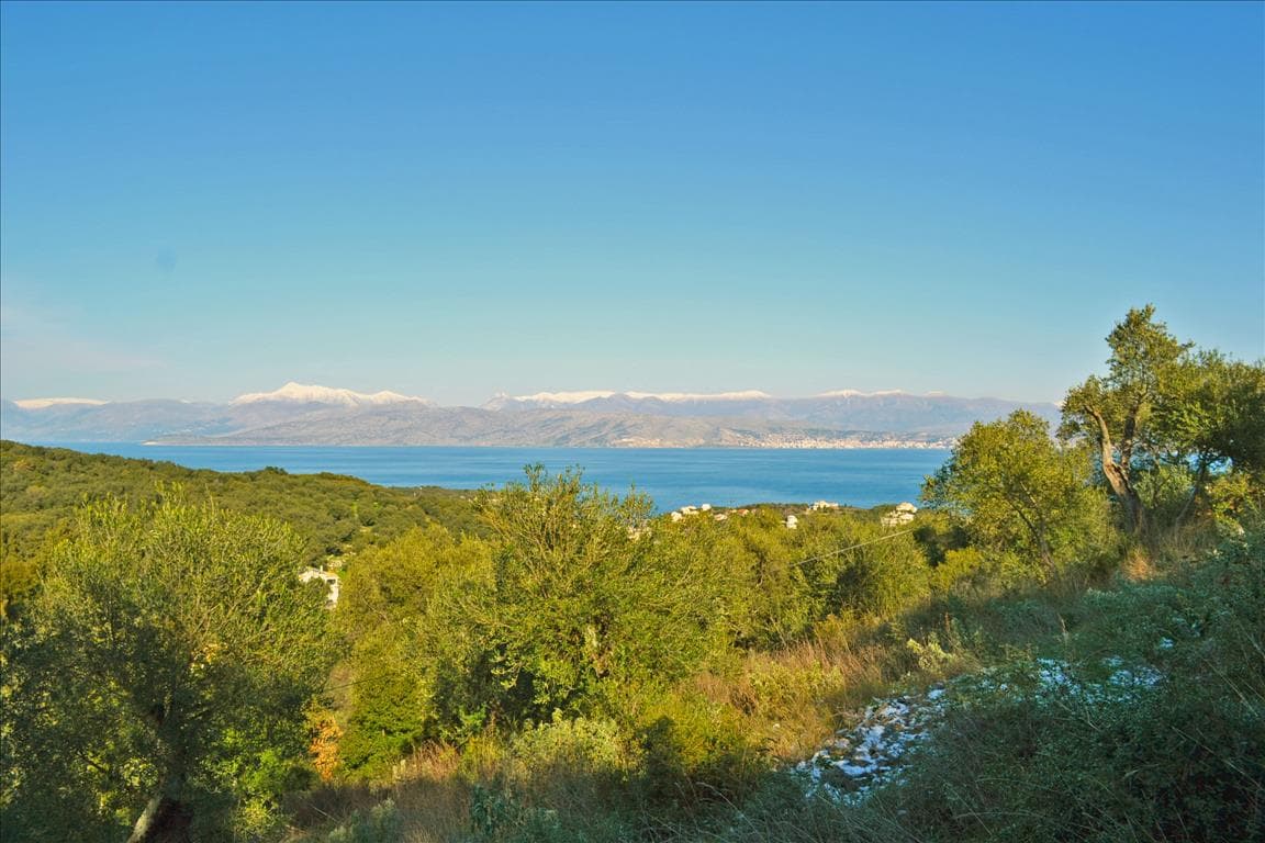 For Sale Land 7000 m² in Corfu