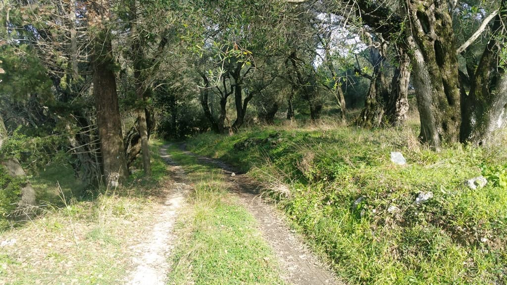 For Sale Land 3315 m² in Corfu