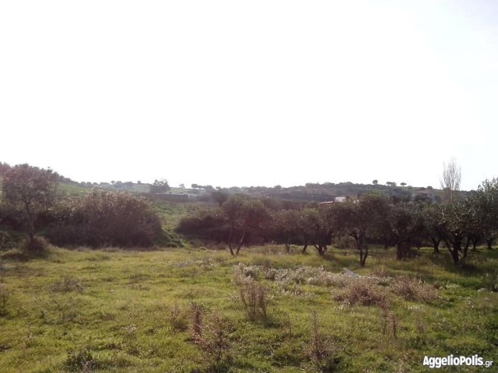 For Sale Land 6250 m² in Sithonia, Chalkidiki