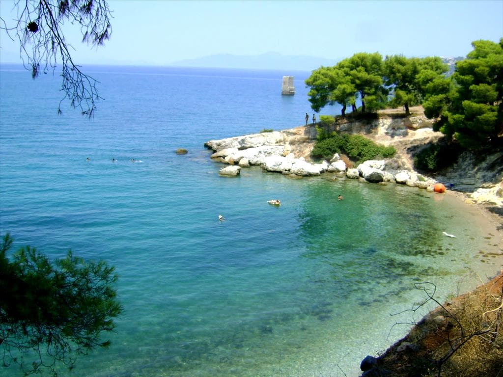 For Sale Land 6500 m² in central Greece