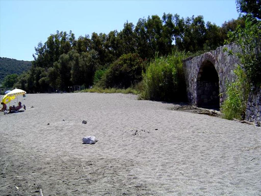 For Sale Land 13527 m² in Western Peloponnese