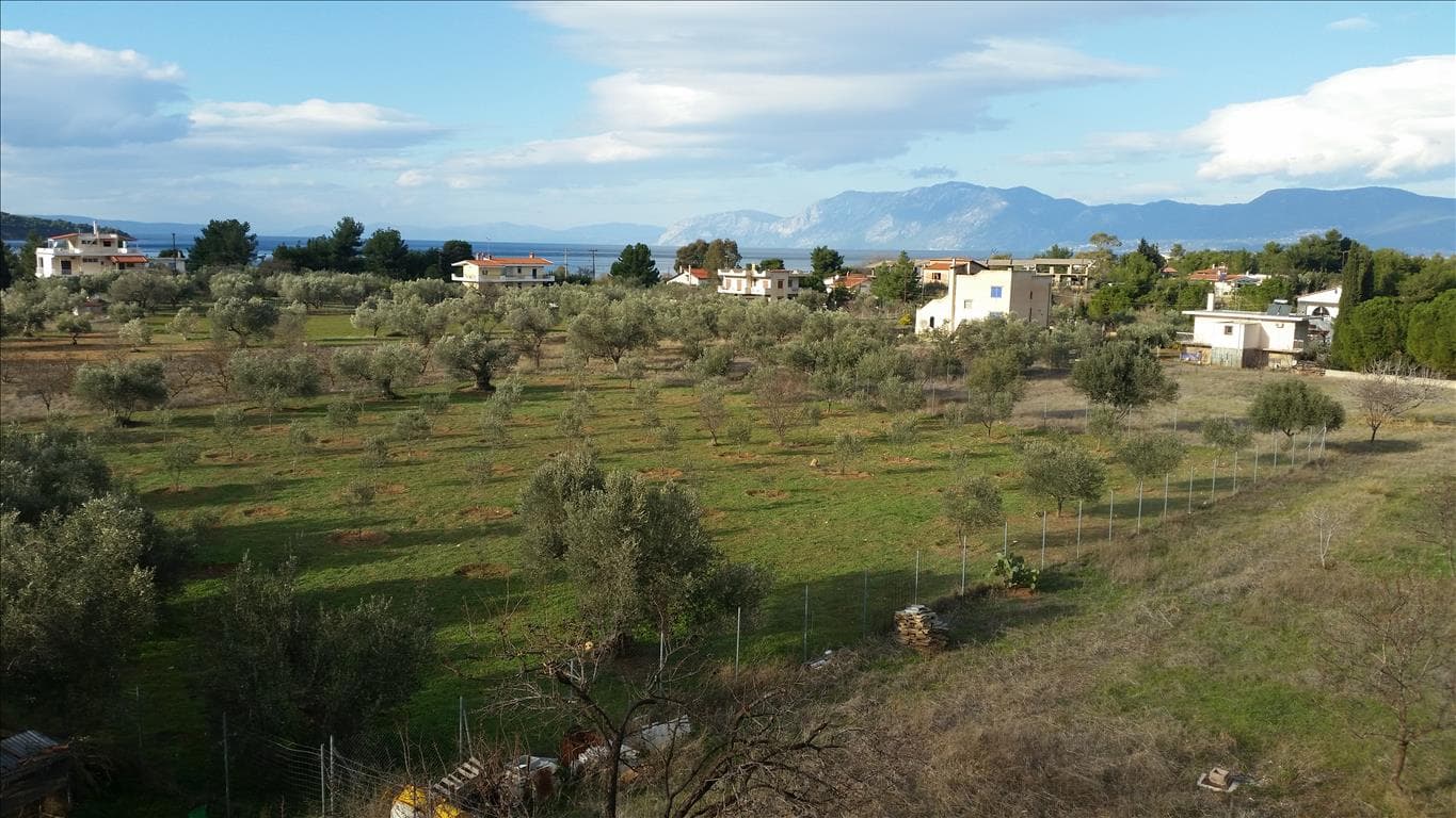 For Sale Detached house 420 m² on the Euboea island