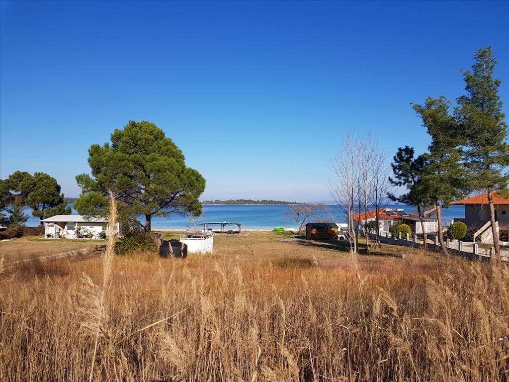 For Sale Land 6300 m² in Sithonia, Chalkidiki