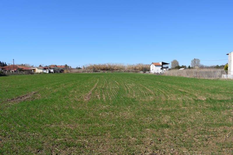 For Sale Land 4008 m² in Chalkidiki