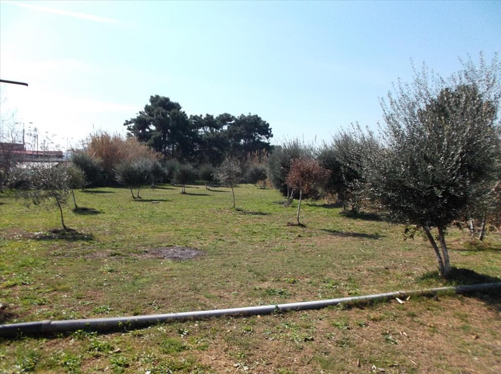 For Sale Land 2768 m² in Athens