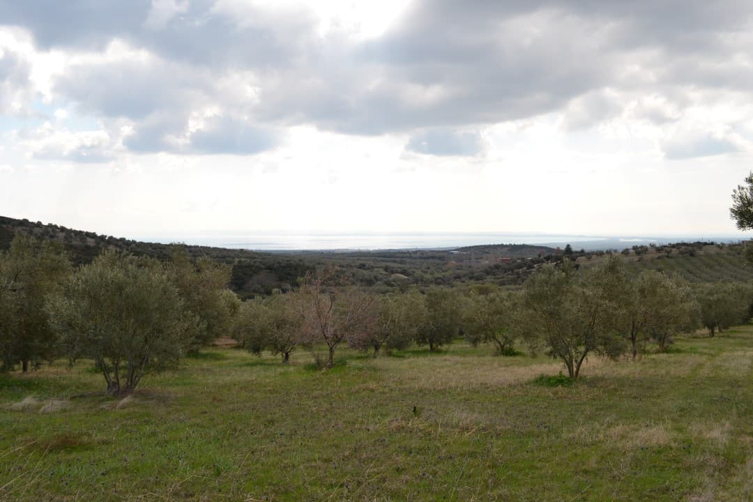 For Sale Land 105000 m² in Chalkidiki
