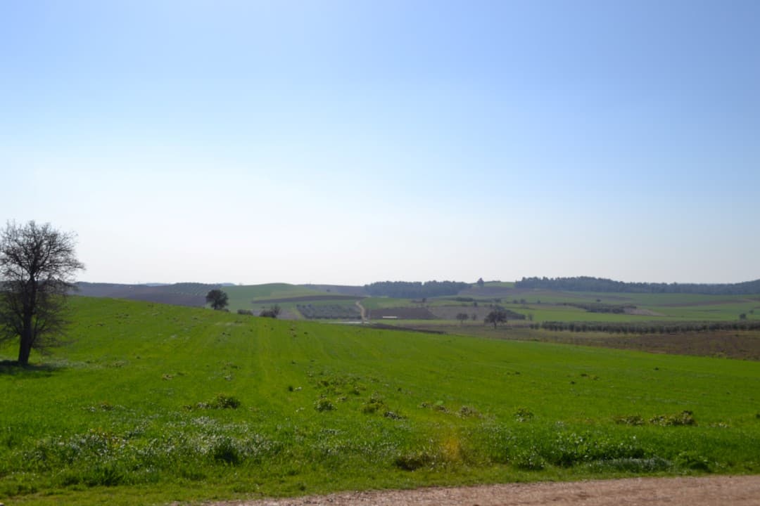 For Sale Land 10500 m² in Kassandra, Chalkidiki