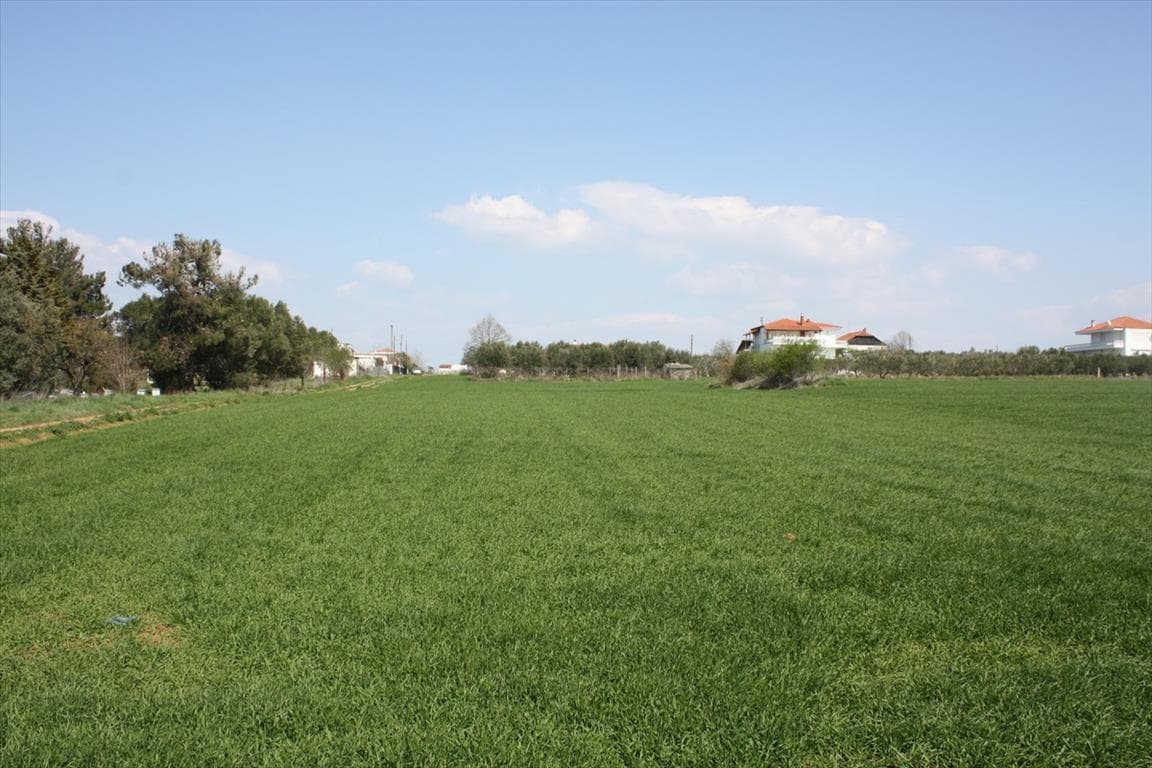 For Sale Land 8000 m² in the suburbs of Thessaloniki