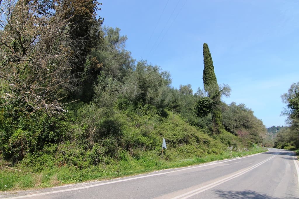 For Sale Land 4400 m² in Corfu