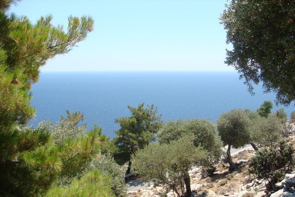 For Sale Land 30000 m² on the island of Thassos