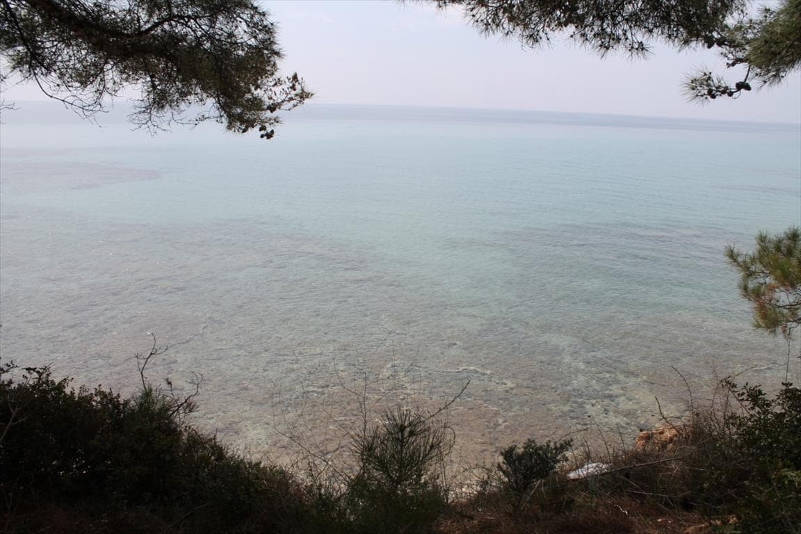 For Sale Land 4000 m² in Chalkidiki