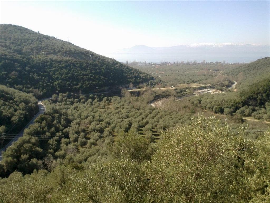 For Sale Land 51000 m² in Volos-Pilio