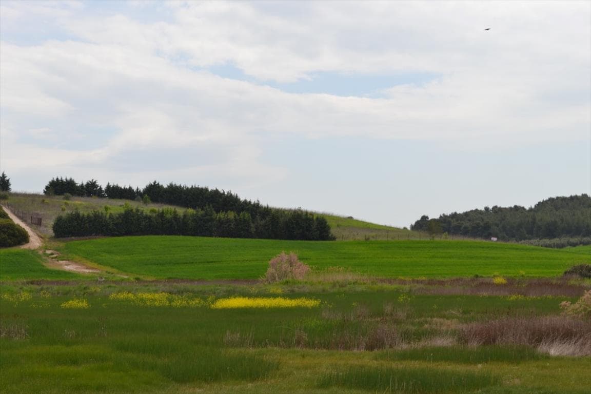 For Sale Land 10500 m² in Kassandra, Chalkidiki