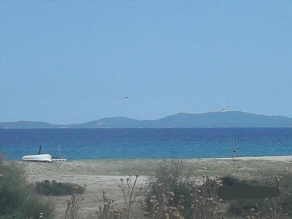 For Sale Land 8000 m² in Athos, Chalkidiki