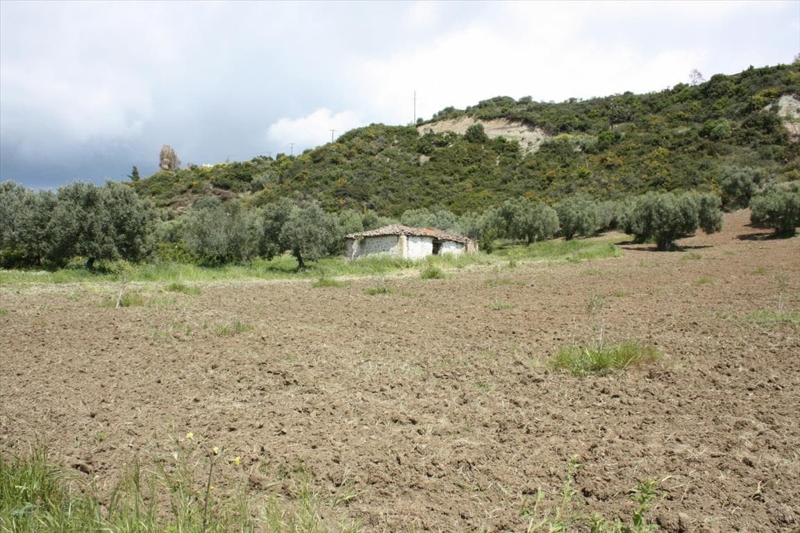 For Sale Land 4700 m² in Kassandra, Chalkidiki