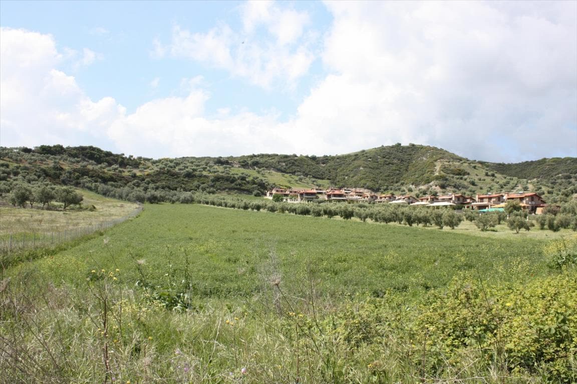 For Sale Land 23000 m² in Kassandra, Chalkidiki