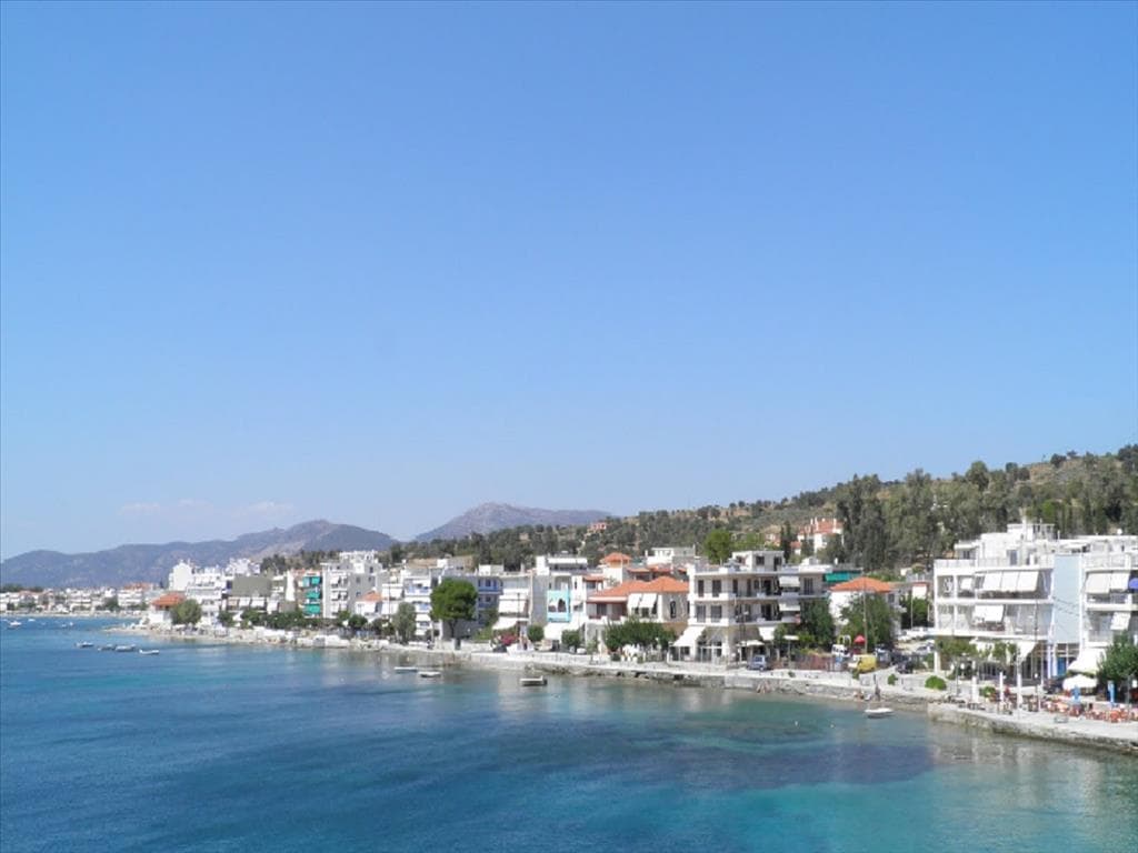 For Sale Land 30000 m² on the Euboea island