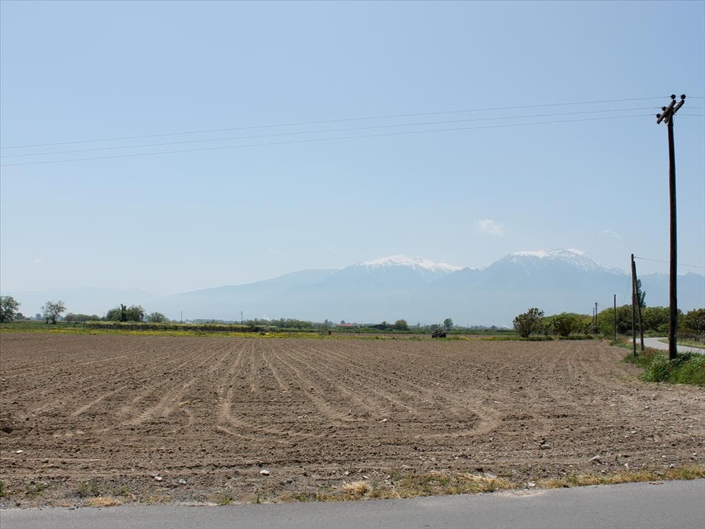 For Sale Land 12000 m² on the Olympic Coast