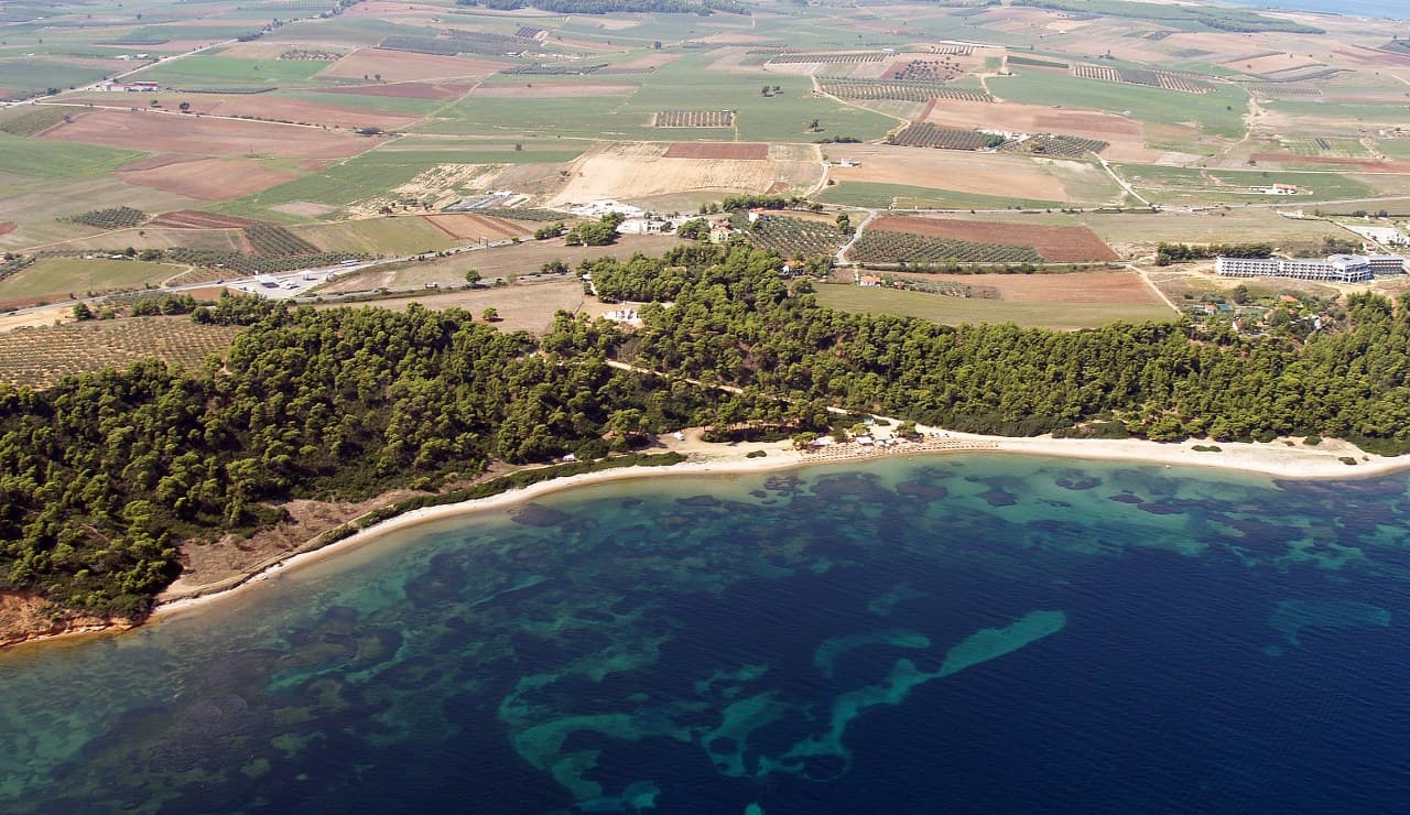 For Sale Land 30000 m² in Kassandra, Chalkidiki