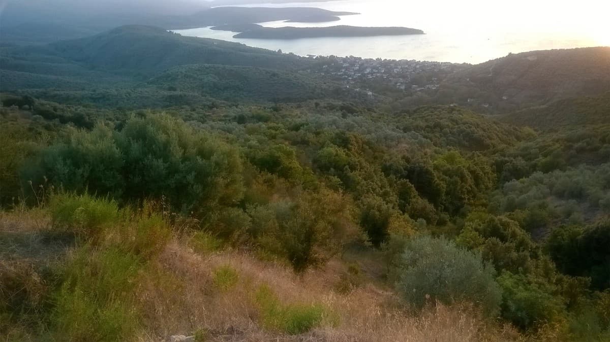 For Sale Land 4900 m² in central Greece