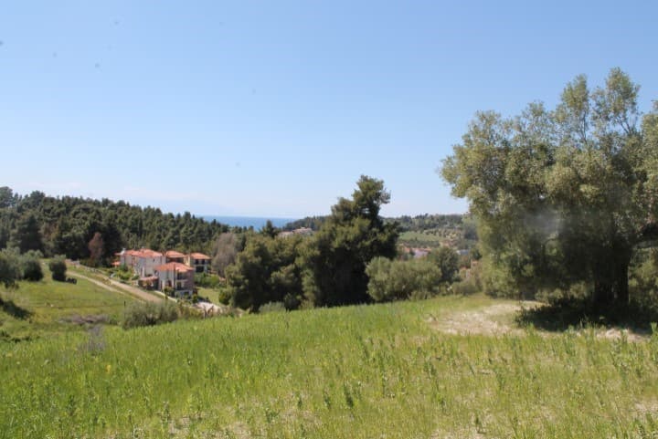 For Sale Land 20100 m² in Kassandra, Chalkidiki
