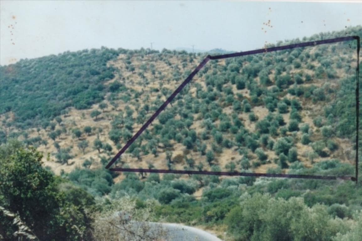 For Sale Land 19160 m² in Athos, Chalkidiki