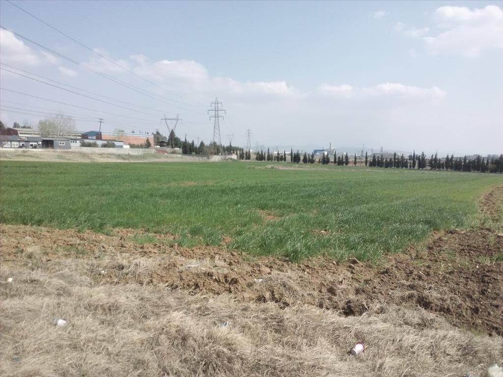 For Sale Land 15000 m² in the suburbs of Thessaloniki