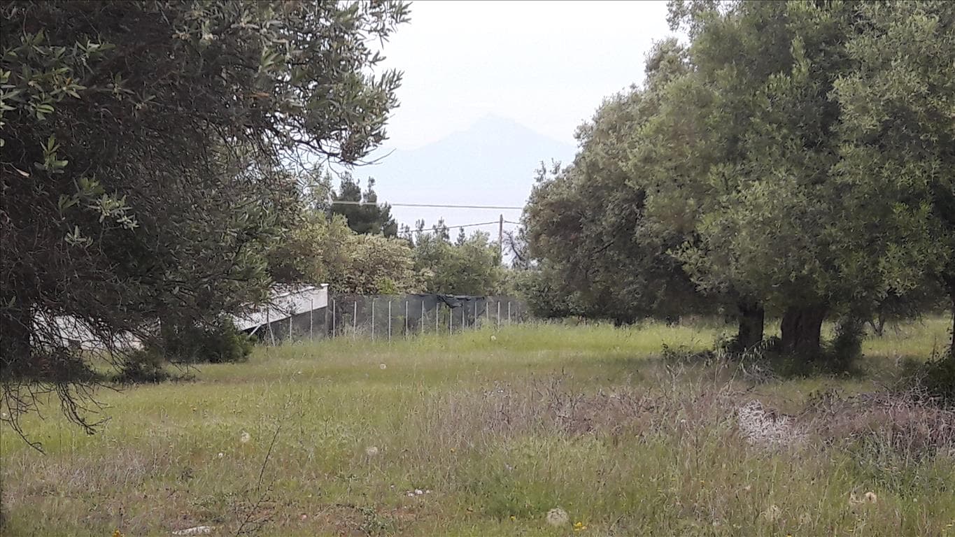 For Sale Land 4002 m² in Sithonia, Chalkidiki