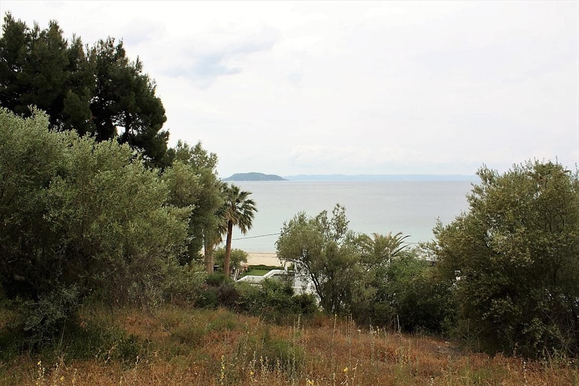 For Sale Land 6000 m² in Sithonia, Chalkidiki