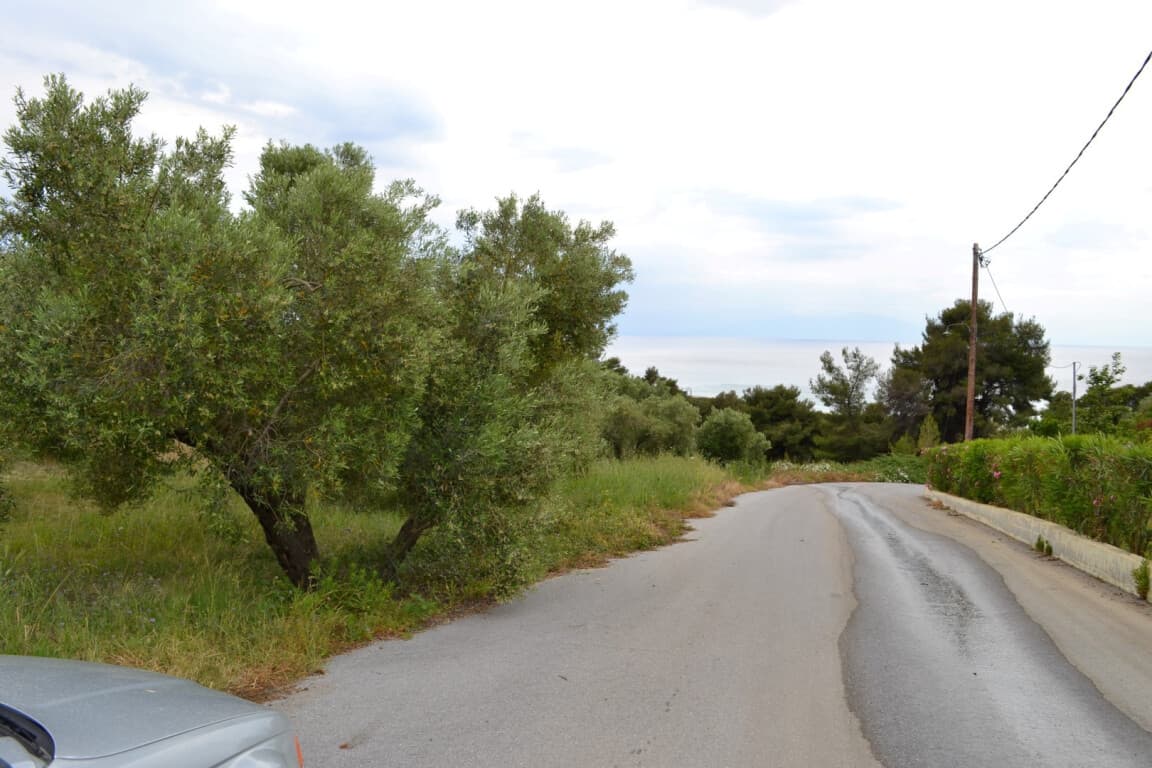 For Sale Land 6012 m² in Kassandra, Chalkidiki