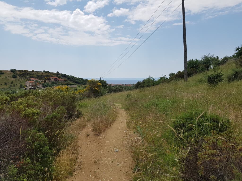 For Sale Land 4396 m² in Sithonia, Chalkidiki
